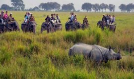 Kaziranga National Park